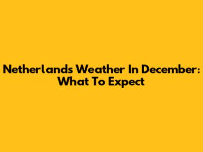 Netherlands Weather In December: What To Expect