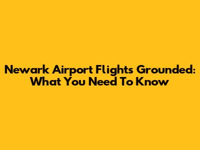 Newark Airport Flights Grounded: What You Need To Know
