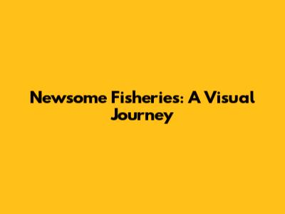 Newsome Fisheries: A Visual Journey