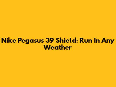 Nike Pegasus 39 Shield: Run In Any Weather