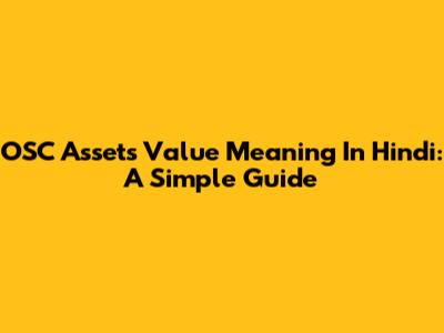 OSC Assets Value Meaning In Hindi: A Simple Guide