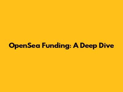 OpenSea Funding: A Deep Dive
