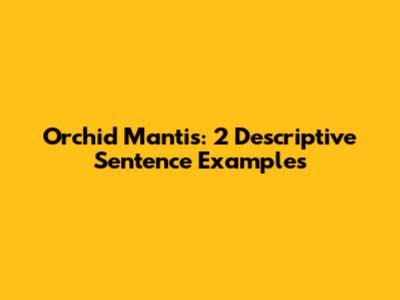 Orchid Mantis: 2 Descriptive Sentence Examples