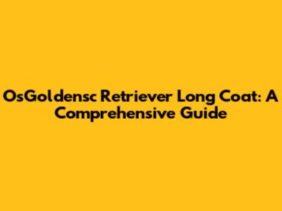 OsGoldensc Retriever Long Coat: A Comprehensive Guide