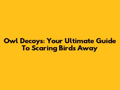 Owl Decoys: Your Ultimate Guide To Scaring Birds Away