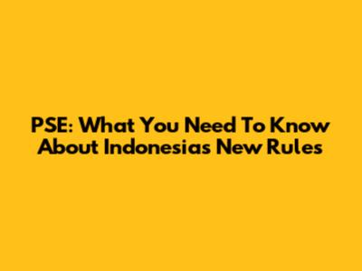 PSE: What You Need To Know About Indonesia's New Rules
