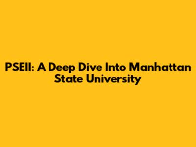 PSEII: A Deep Dive Into Manhattan State University