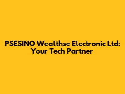 PSESINO Wealthse Electronic Ltd: Your Tech Partner