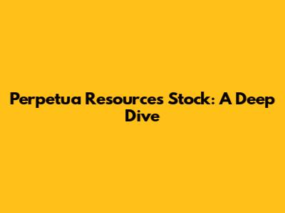 Perpetua Resources Stock: A Deep Dive