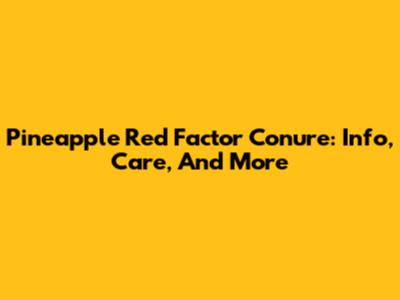 Pineapple Red Factor Conure: Info, Care, And More