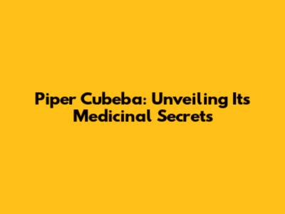 Piper Cubeba: Unveiling Its Medicinal Secrets