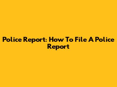 Police Report: How To File A Police Report
