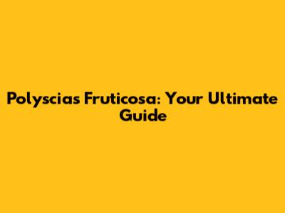 Polyscias Fruticosa: Your Ultimate Guide