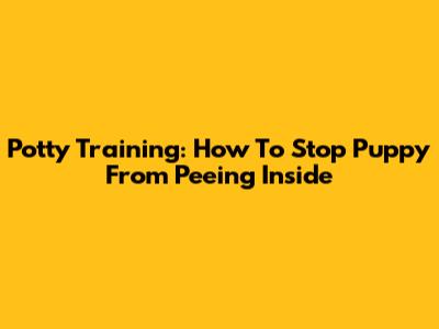 Potty Training: How To Stop Puppy From Peeing Inside