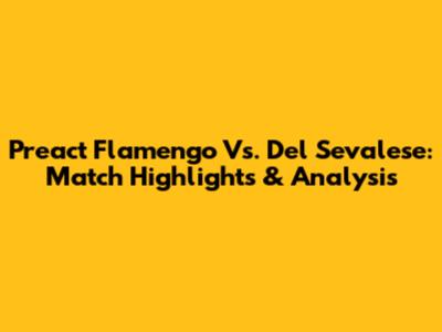 Preact Flamengo Vs. Del Sevalese: Match Highlights & Analysis