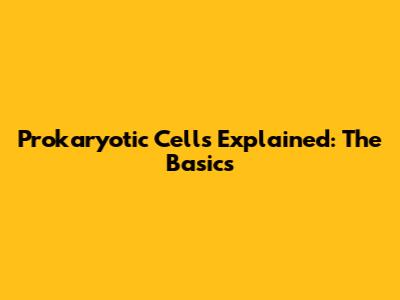 Prokaryotic Cells Explained: The Basics