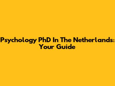 Psychology PhD In The Netherlands: Your Guide