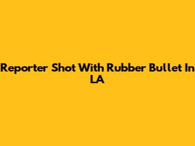 Reporter Shot With Rubber Bullet In LA