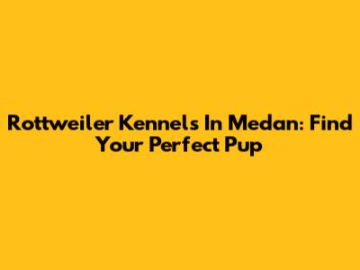 Rottweiler Kennels In Medan: Find Your Perfect Pup