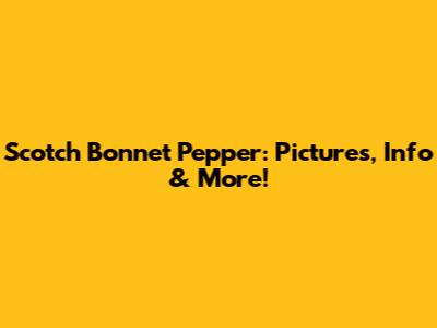 Scotch Bonnet Pepper: Pictures, Info & More!