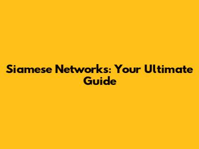Siamese Networks: Your Ultimate Guide