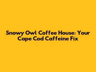 Snowy Owl Coffee House: Your Cape Cod Caffeine Fix
