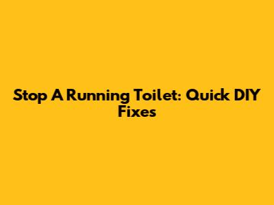 Stop A Running Toilet: Quick DIY Fixes