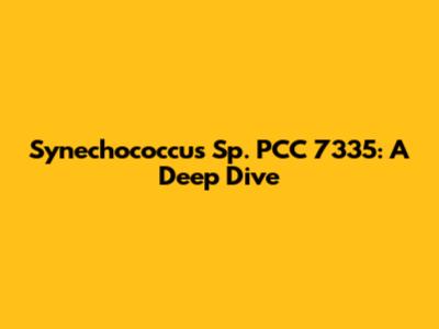 Synechococcus Sp. PCC 7335: A Deep Dive