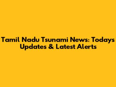 Tamil Nadu Tsunami News: Today's Updates & Latest Alerts