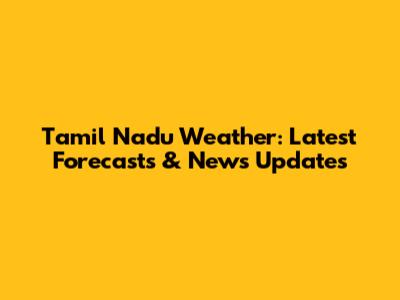 Tamil Nadu Weather: Latest Forecasts & News Updates
