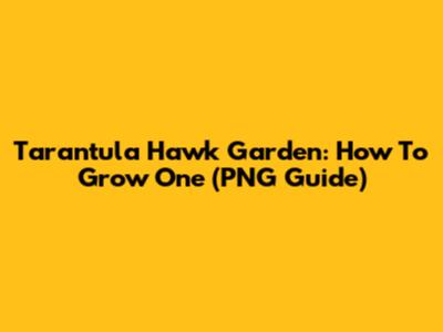 Tarantula Hawk Garden: How To Grow One (PNG Guide)