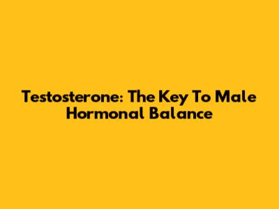 Testosterone: The Key To Male Hormonal Balance
