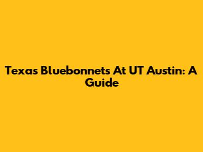 Texas Bluebonnets At UT Austin: A Guide