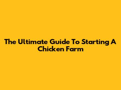 The Ultimate Guide To Starting A Chicken Farm
