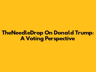 TheNeedleDrop On Donald Trump: A Voting Perspective