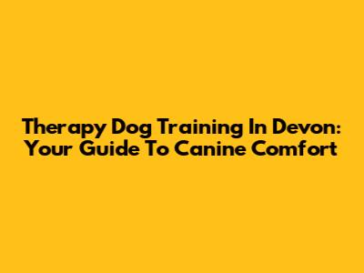 Therapy Dog Training In Devon: Your Guide To Canine Comfort