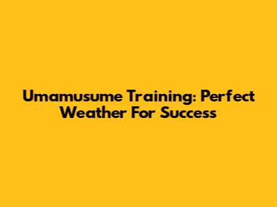 Umamusume Training: Perfect Weather For Success