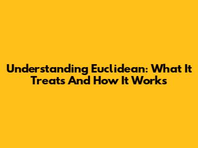 Understanding Euclidean: What It Treats And How It Works