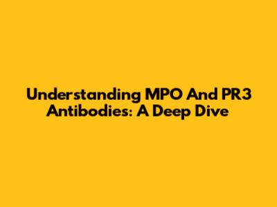 Understanding MPO And PR3 Antibodies: A Deep Dive