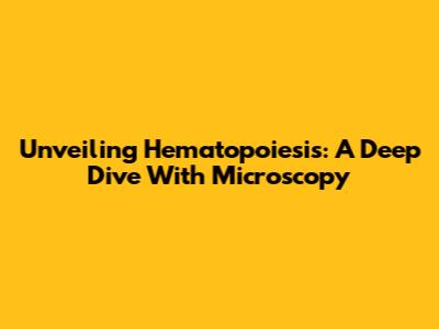Unveiling Hematopoiesis: A Deep Dive With Microscopy