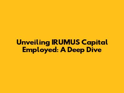 Unveiling IRUMUS Capital Employed: A Deep Dive