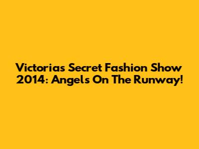Victoria's Secret Fashion Show 2014: Angels On The Runway!