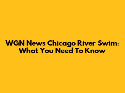 WGN News Chicago River Swim: What You Need To Know