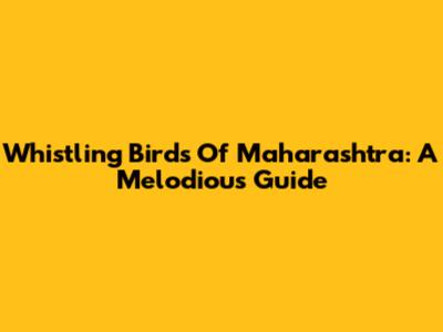 Whistling Birds Of Maharashtra: A Melodious Guide