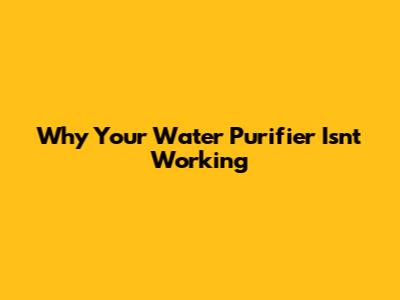 Why Your Water Purifier Isn't Working