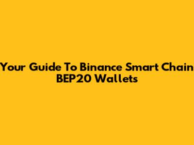 Your Guide To Binance Smart Chain BEP20 Wallets