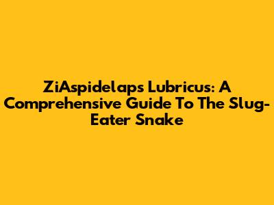 ZiAspidelaps Lubricus: A Comprehensive Guide To The Slug-Eater Snake